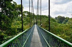 lornie-road photo thumbnail #13